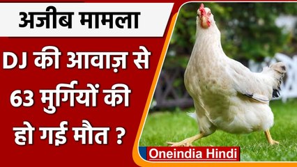 Odisha: DJ की तेज आवाज से 63 मुर्गियों की मौत, फार्म मालिक ने दर्ज कराई FIR | Oneindia Hindi