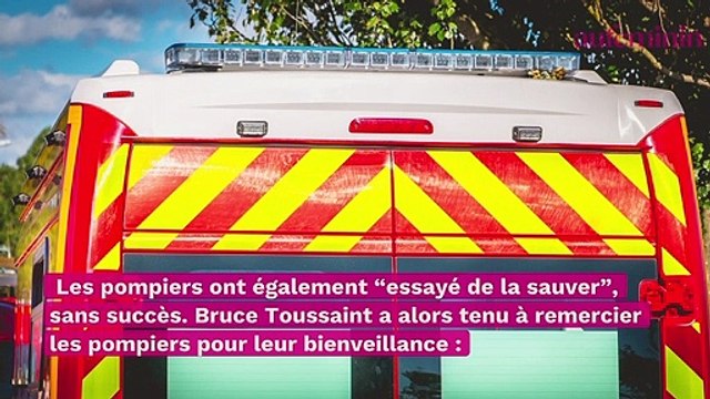 Bruce Toussaint : son témoignage sur l’agonie de sa mère, morte en pleine rue