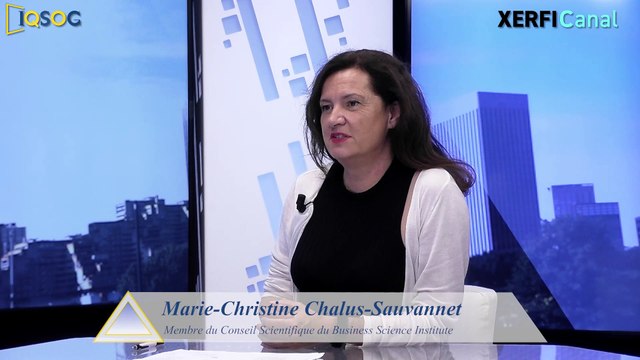 Mobiliser l'entreprise sur la veille stratégique [Marie-Christine Chalus-Sauvannet]