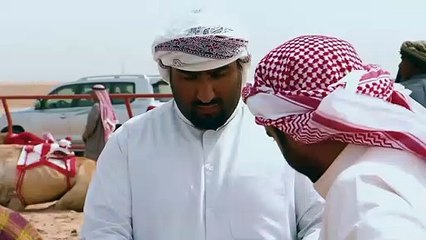 ...بحزم عليها بالمثل . لكن التحرك نحو حلحلة...