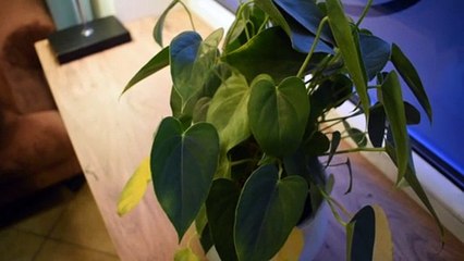 Joanna Grzymala, activista y voluntaria polaca en la frontera con Bielorrusia