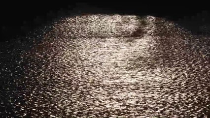 غروب الشمس فوق قلعة سيكيادو وجبل فوجي في اليابان