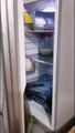 Tranh cãi cách bảo quán cá tươi rói nguyên con trong tủ lạnh