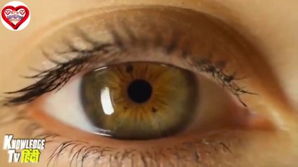 सपनों में लड़कियां दिखती है तो मतलब जाने क्या होता हैं | कृष्ण उपदेश || भगवत गीता