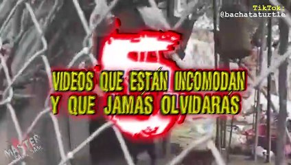 5 VIDEOS QUE INCOMODAN Y QUE JAMAS OLVIDARAS