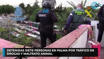 Detenidas siete personas en Palma por tráfico de  drogas y maltrato animal