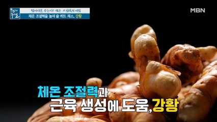 체온 조절력과 근육 생성에 도움 주는 '강황'