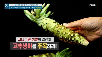 체온 조절력과 암 예방 돕는 시니그린의 결정체 '고추냉이'