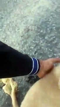 İyi insan nedir? sorusunun tüm cevapları bu videoda