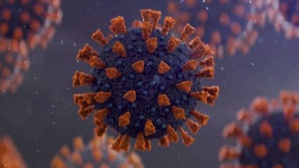 New coronavirus variant detected in South Africa: All you need to know