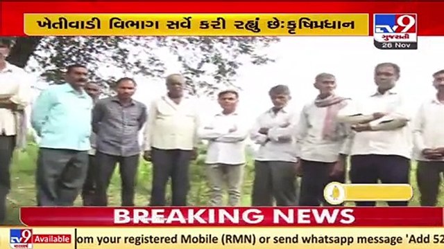 Gujarat agricutlure minister Raghavji Patel denies any loss to crops due to unseaonal rain_ TV9News
