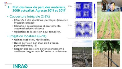 Varenne de l'eau : Molle