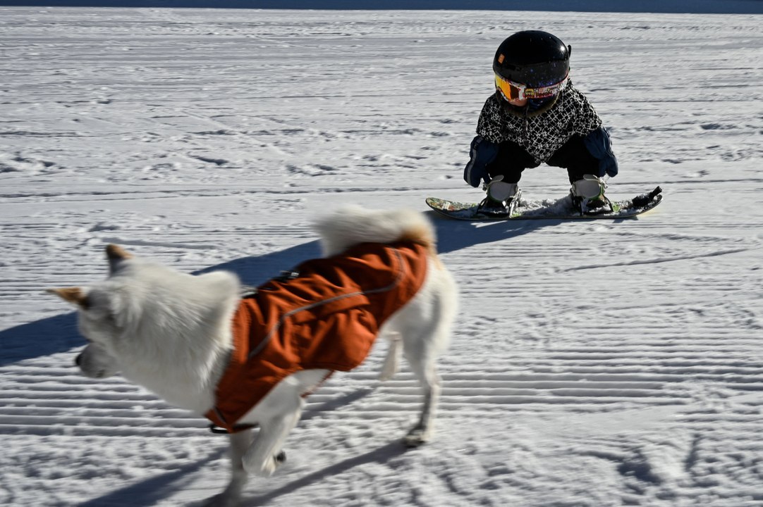 Elf Monate altes Snowboard-Baby erobert Piste und Internet
