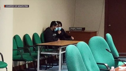 Pharmally's Dargani, Ong request to speak to each other to locate company's documents