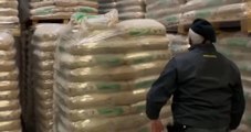Como - Pellet di scarsa qualità importato dalla Russia: sequestrate 54 tonnellate (26.11.21)