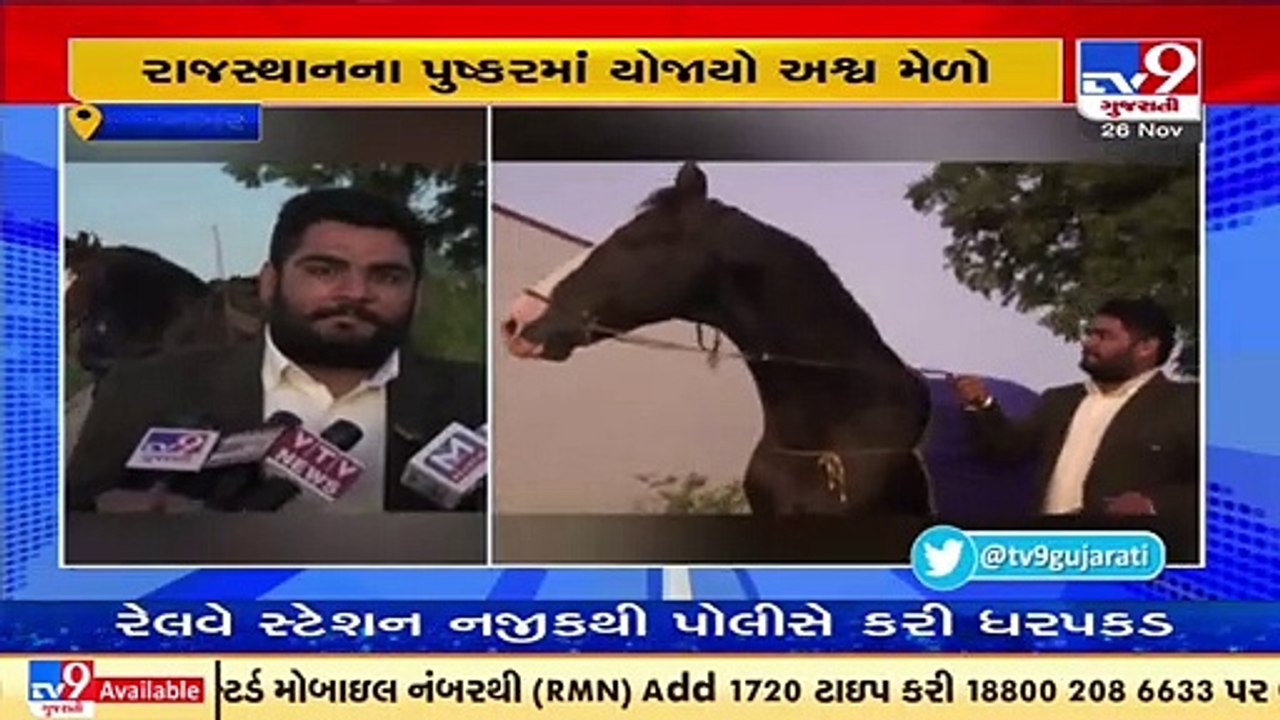 Horse belonging to Jamnagar man, stands second in horse fair competition organized in Rajasthan_ TV9