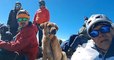 Mexique : ce jeune chien bloqué pendant un mois à 5000 mètres d'altitude sauvé par un groupe d'alpinistes