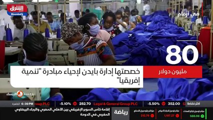 ...الاستثمارات المباشرة في القارة السمراء ن...