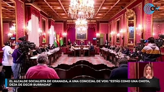 El alcalde socialista de Granada, a una concejal de Vox: Estás como una chota, deja de decir burradas