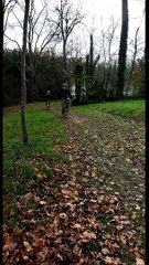 Les feuilles mortes et nos espoirs