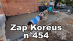 Zap Koreus n°454