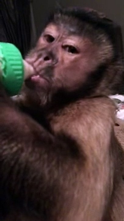 Morning ........Last nights bottle! I had my bath nails filed bath and bed!