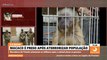 ‘Macaco Galego’ aterroriza moradores na região de Cajazeiras, é capturado por militares e transferido para Patos