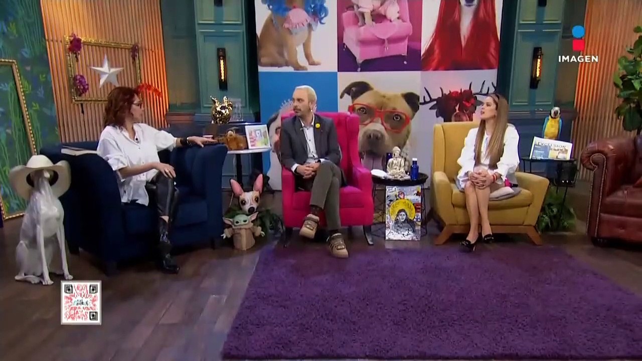 ¡Ricky Martin anuncia gira en México!