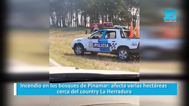 Incendio en los bosques de Pinamar: afecta varias hectáreas cerca del country La Herradura