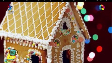 EMPRENDIMIENTO QUE FUIMOS A CONOCER A SAN JOAQUIN Y LE AYUDA A DECORAR SU CASA EN NAVIDAD