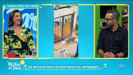 Para deixar coração quentinho, uma seleção de imagens  recheadas de "fofurice".