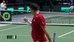 Coupe Davis - Djokovic écrase Novak
