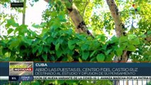 Cuba: Centro Fidel Castro se dedica al estudio y preservación de su pensamiento político