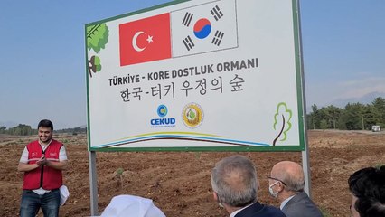 터키, 한국 묘목 기부로 '우정의 숲' 조성 / YTN