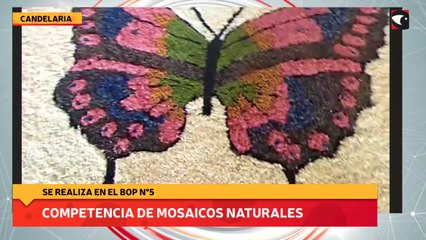 Competencia de mosaicos naturales