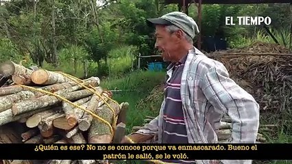 Los extraños humanoides que comunidad dice ver en el Valle  Colombia 2021