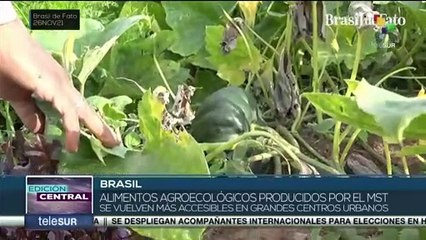 Brasil: Movimiento Sin Tierra impulsa producción de alimentos agroecológicos