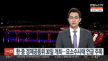 한·중 경제공동위 30일 개최…요소수 대란 언급 주목