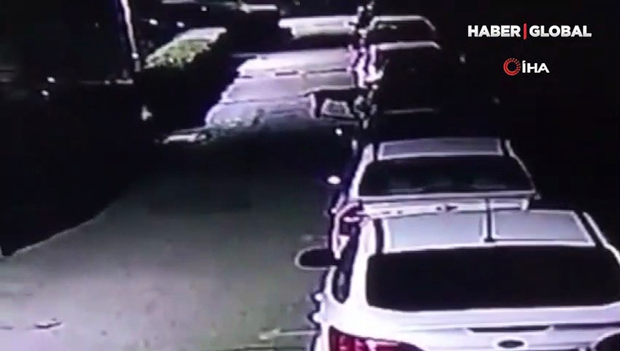 Köpekler kediyi yakalamak için sıfır arabanın tamponunu böyle parçaladı