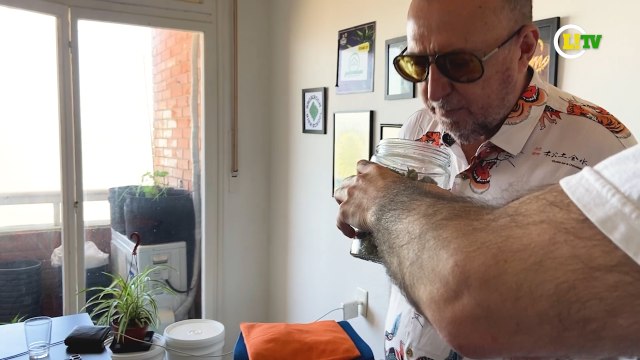 LANCE! no Uruguai: Xico Sá dá 'flagrante' em torcedor rubro-negro que cultiva cannabis no Uruguai