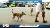 കോട്ടയത്തും തെരുവ് നായ ശല്യം രൂക്ഷം; നടപടിയെടുക്കാതെ അധികൃതർ