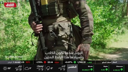 ...المهارات التقنية...