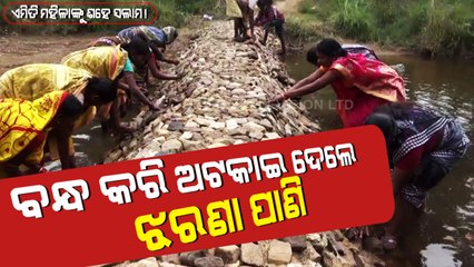 Special Story | Odisha Woman Creates Dam To Stop Waterfall To Address Water Crisis