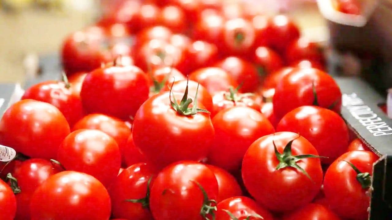 Tomato Price : Indians Google, Sambar Without T...