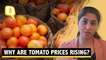 Explainer | Why Soaring Tomato Prices Are Pinching More in South India?