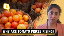 Explainer | Why Soaring Tomato Prices Are Pinching More in South India?