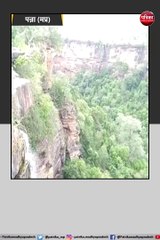 जंगल में मिली दो प्रेमियों की लाश