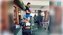 Watch, Virat Kohli gives major fitness goals ahead of Test against New Zealand