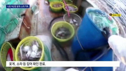 불법 중국 어선 3년 새 7배 늘어…황금어장 ‘추격전’