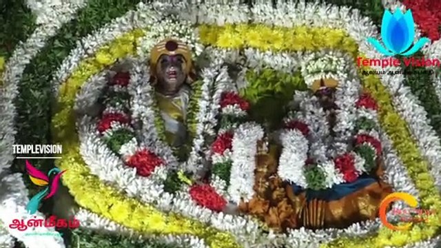 #templevision24 #tv24 #கரூர் கல்யாண பசுபதீஸ்வரர் ஆலய கும்பாபிஷேக வருஷாபிஷேகம் பஞ்சமூர்த்தி வீதி உலா